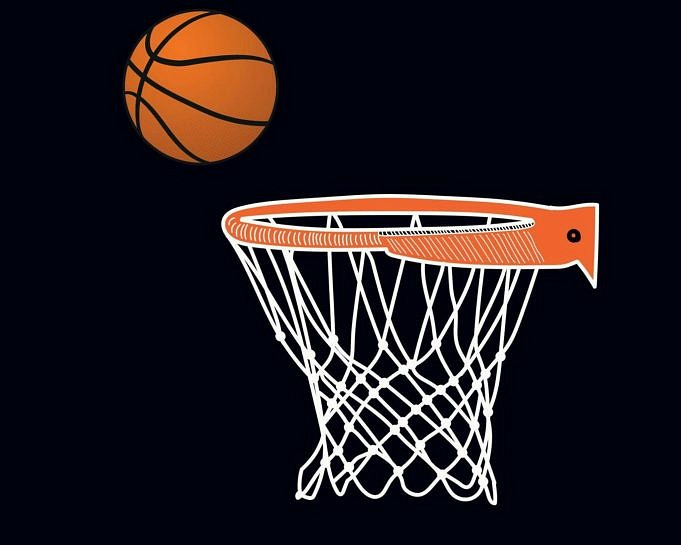 Top 5 Netten Voor Basketbalringen